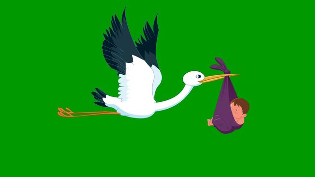 stork carrying baby animation