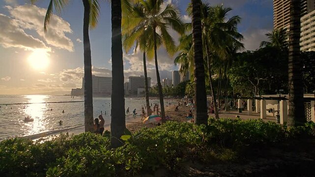 Palm Trees Silhouetted Against Vibrant Waikiki Hawaii Sunset Sky, travel tropica