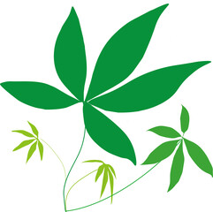 パキラ、観葉植物、イラスト、