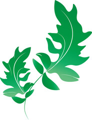 よもぎイラスト