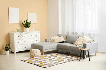 Interior of stylish living room with paintings, drawers and sofa