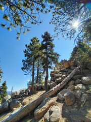 A picturesque hiking trail at Big Bear Lake, surrounded by tall fir trees, large boulders, and rocks, with the sun shining brightly in the distance.