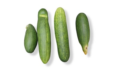vegetable cucumber group on white background.