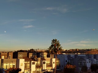 A serene wide shot of Playa Vista at dusk, capturing a tranquil cityscape with the last light of the day casting a soft glow on modern buildings. A row of tall, graceful palms stands on the distant.