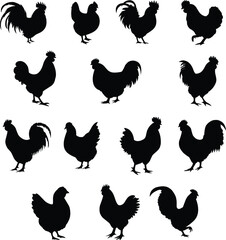 Chicken Silhouette
