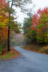 Fototapeta premium Massanutten Scenic Drive in Autumn, Virginia