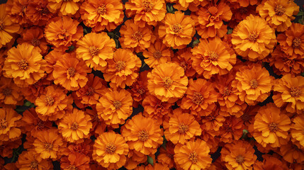 Marigold Garland, a repeating pattern of bright marigold flowers symbolizing remembrance, with copy space, Day of the Dead