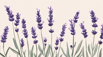 An illustration of a lavender flower