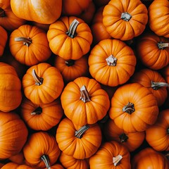 Small pumpkins that can be used as a background