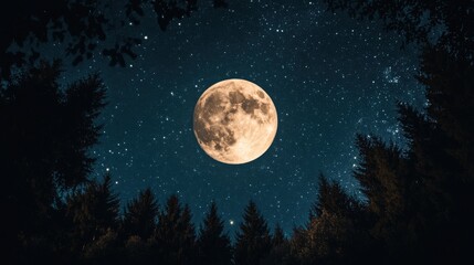 Fototapeta premium Starry Night Sky with Glowing Full Moon Center Stage