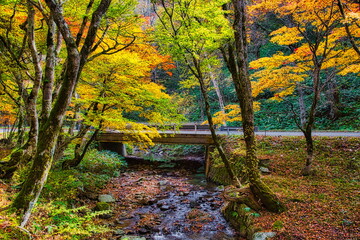 Obraz premium 飛騨の山地では秋になると紅葉で渓谷が最も美しくなります