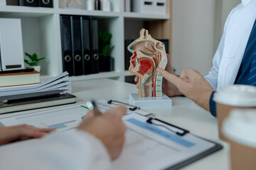 two ENT specialists are discussing the most appropriate treatment for a patient, the two doctors are exchanging their opinions on ENT treatment, anatomy, stethoscope, model © kamiphotos