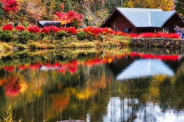 飛騨の山地では秋になると紅葉で渓谷が最も美しくなります