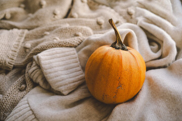 Two small pumpkins resting on a cozy beige sweater create a warm autumn atmosphere on a soft,...