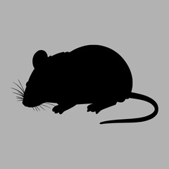 rat silhouette. illustration. black silhouette