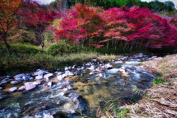 飛騨の山地では秋になると紅葉で渓谷が最も美しくなります