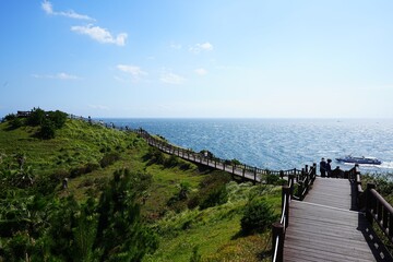 Fototapeta premium seaside walkway and fine view