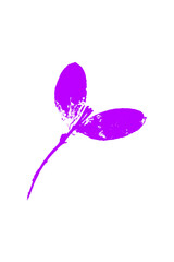 Purple watercolor background. Artistic hand paint. Isolated on transparent background.
