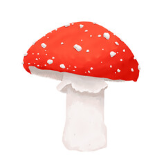 Red mushroom toadstool. Watercolor digital color illustration.