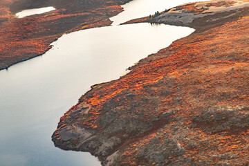Ariel view over the barrens