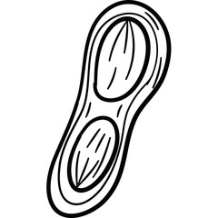 Nut Seed Hand Drawn