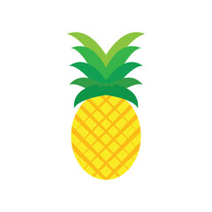 Pinapple Template Icon
