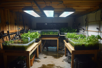 An urban aquaponics system inside a converted garage, with tanks of fish providing nutrients to plants in a self-sustaining ecosystem, LED lights above, and water flowing in a cycle