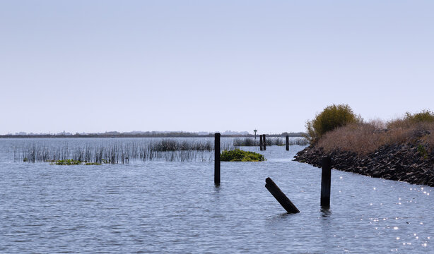 Piles and levee along a river in the California Delta