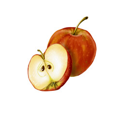 Composition with red apple and apple slice. The apple is cut. The apple pulp is visible. apple seeds. Ripe and juicy fruit. Watercolor illustration.
