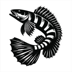 Obraz premium Striped Snakehead fish silhouette vector art illustration.
