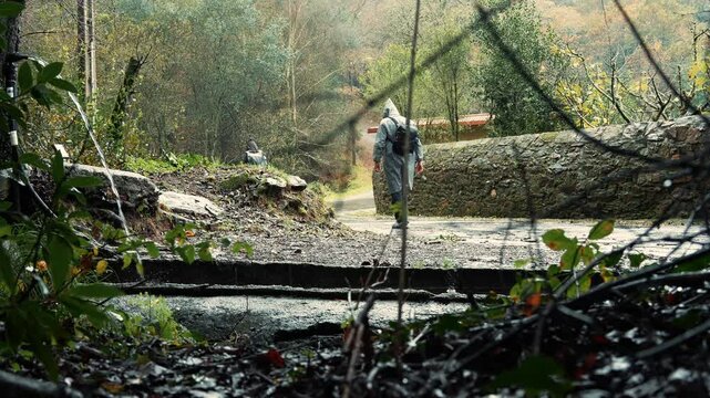 caminantes caminando por el camino de santiago Compostela Espa&ntilde;a con un paisaje del bosque lluvioso en oto&ntilde;o haciendo senderismo peregrino caminando 