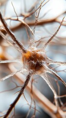Neurons in the brain - detailed neuroscience concept for educational use