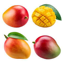 png mango collection cut out`