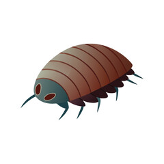  Pill Bug insect isolated flat vector illustration white background