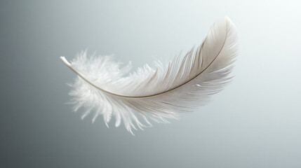 Obraz premium single delicate white feather on light blue background - softness, airy, minimalist, nature, beauty