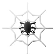 3d spider and web
