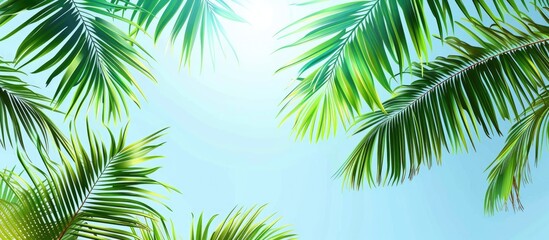 Obraz premium Palm Branch And Blue Sky Green Tropical Leaf On Blue Background Coco Palm Tree On Sky Green Palm Leaf Border Coco Palm Tree View From Ground Tropical Garden Banner Template With Text Place