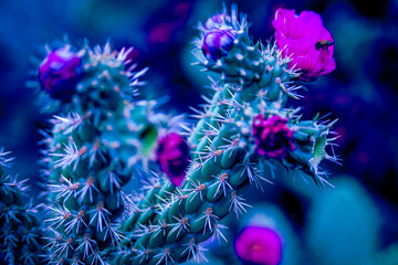 Arboretum Fall 2024 Collection