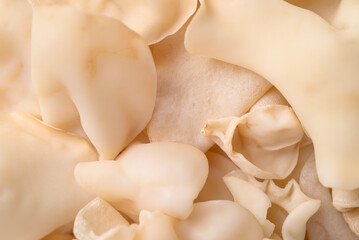 White jelly mushroom or wood ear mushroom, Asian edible mushroom, Texture background