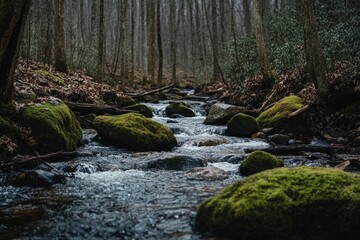 Obraz premium Smoky Mountain stream with mossy rocks with generative ai