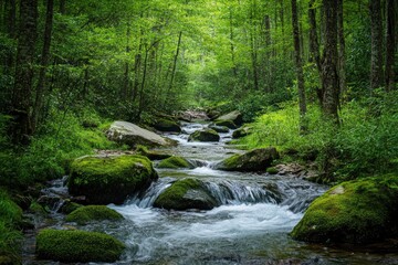 Obraz premium Smoky Mountain stream with mossy rocks with generative ai