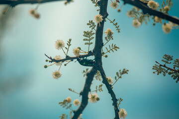 Arboretum Fall 2024 Collection