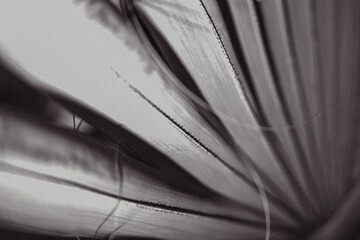 Arboretum Fall 2024 Collection