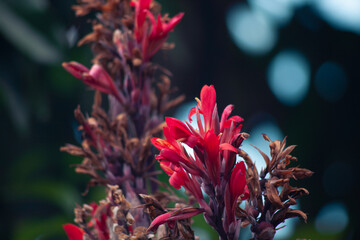 Arboretum Fall 2024 Collection