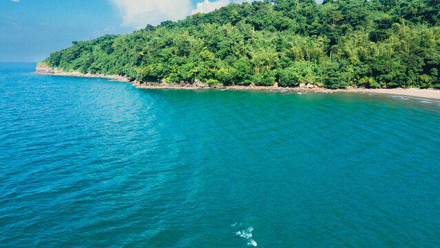 Ternate in Cavite is home to a diverse ecosystem, with the forested mountains providing habitat for a variety of plant and animal species. 