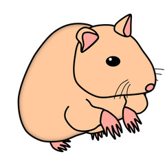ポップで可愛いハムスター