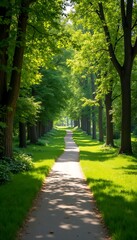 Obraz premium Pathway in the green park on sunshine day