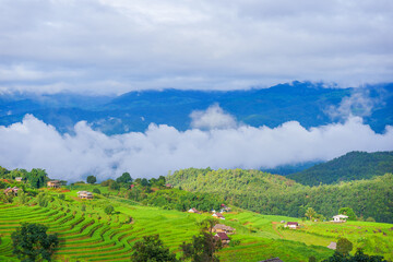 Beautiful rice terrace paddy fields with fresh green natural agricultural mountains landscape view Doi Inthanon Nation Park the Pa Bong Pieng the village at Mae Chaem, Chiang Mai, Thailand.