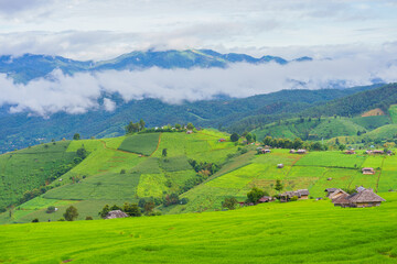 Fototapeta premium Beautiful rice terrace paddy fields with fresh green natural agricultural mountains landscape view Doi Inthanon Nation Park the Pa Bong Pieng the village at Mae Chaem, Chiang Mai, Thailand.
