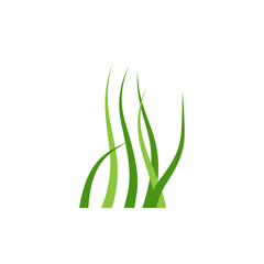 Green grass vector illustration